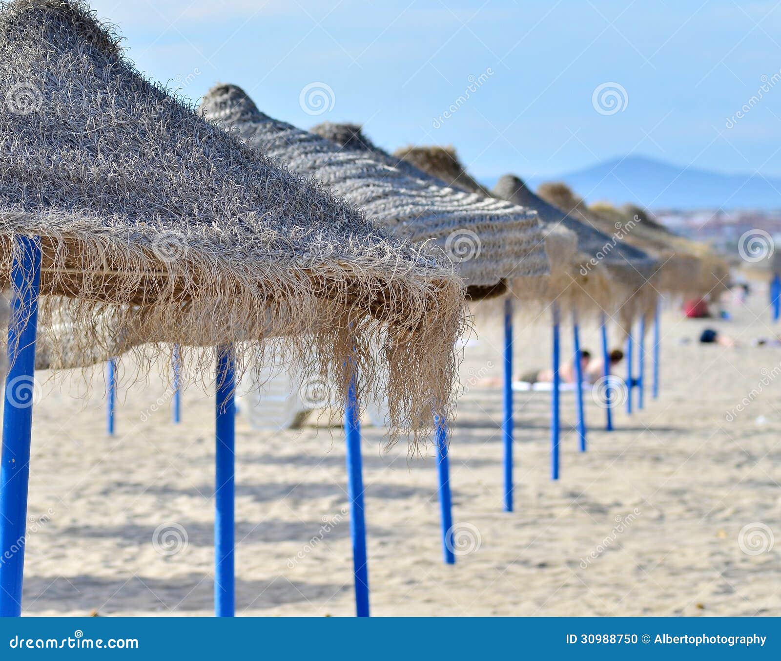 Beach with umbrellas. stock photo. Image of grass, coast 30988750