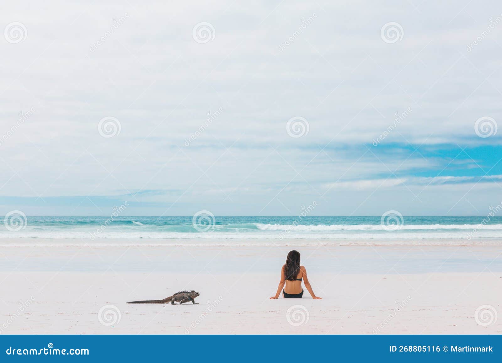 Beach Vacation Galapagos Islands Tourist Woman Sunbathing with Marine