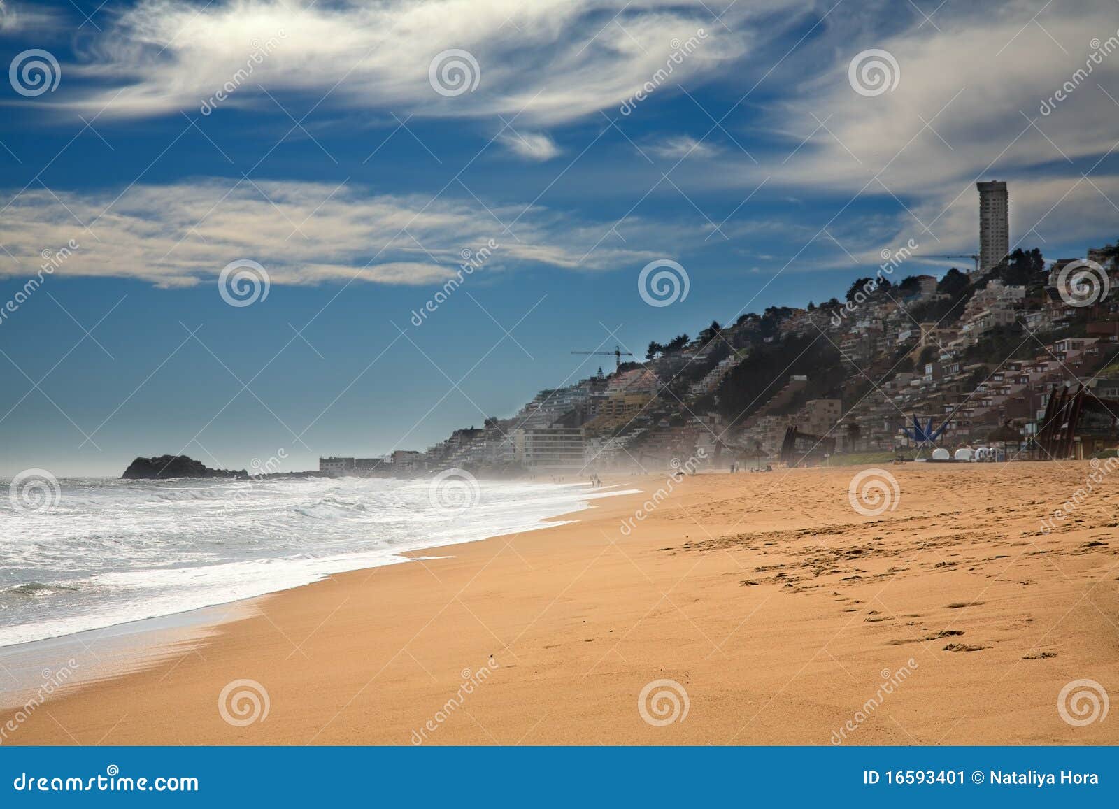 beach at vina del mar, chile