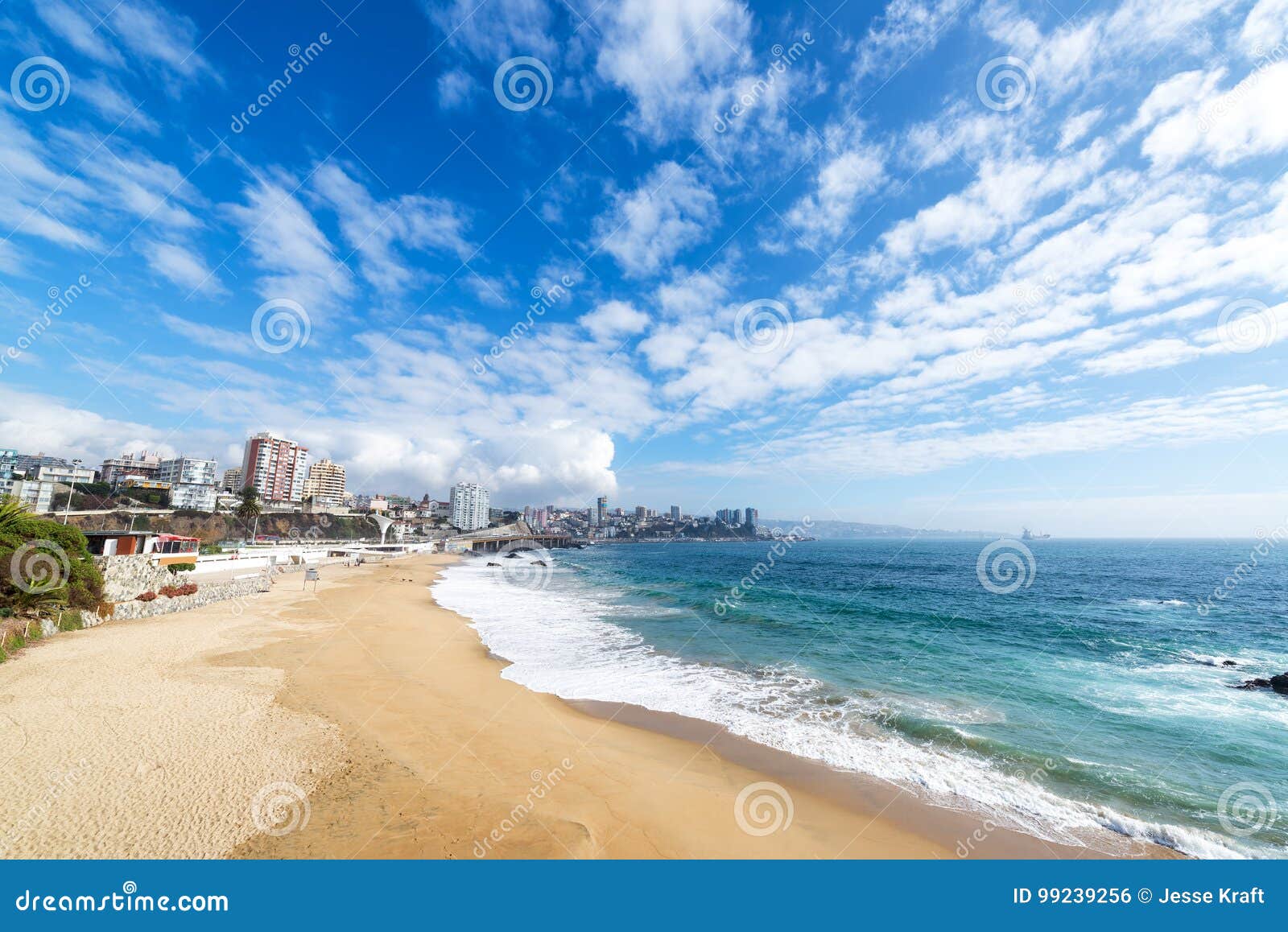 beach in vina del mar