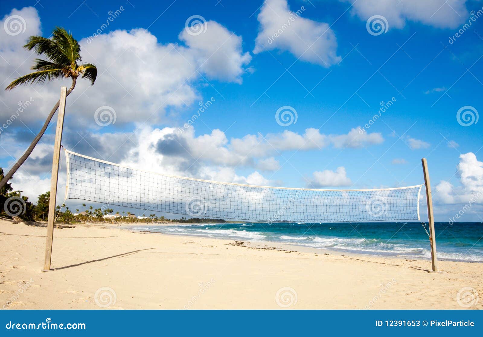 Beach Volleyball stock image. Image of volleyball, palm 12391653