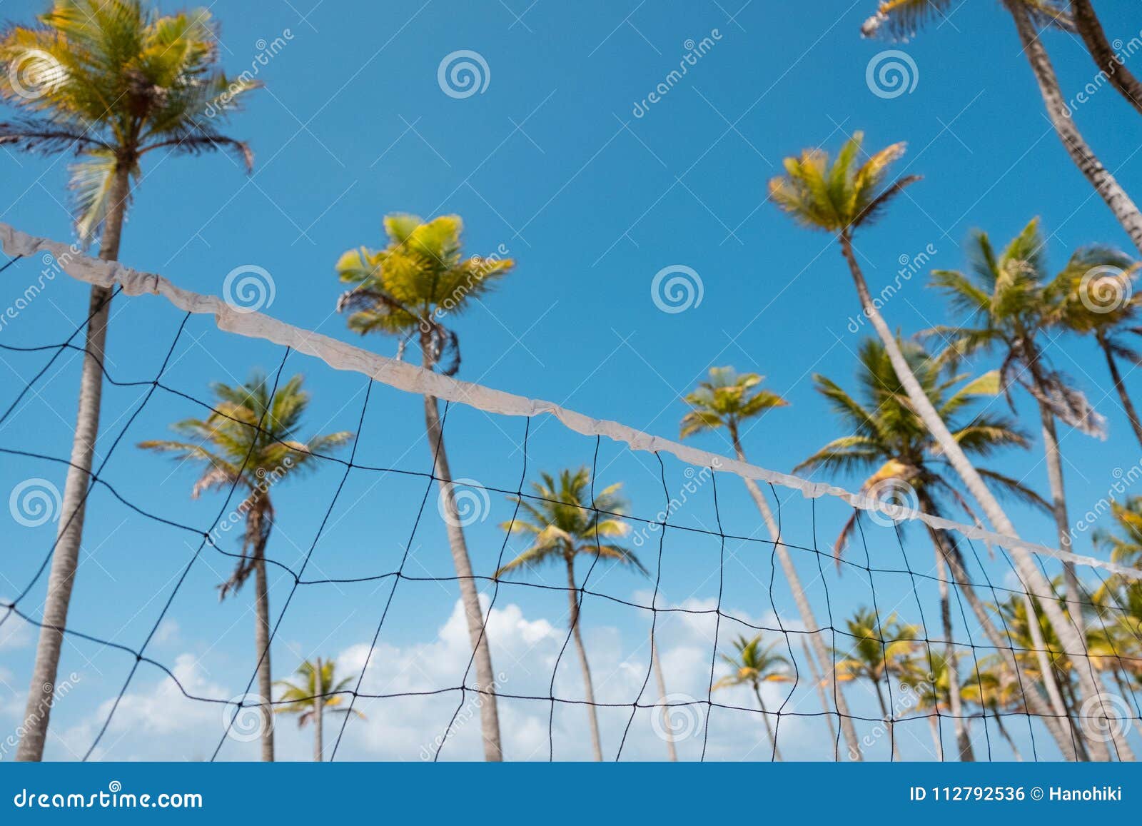 Beach Volleyball Net and Palm Trees Beach Volleyball Concept Stock
