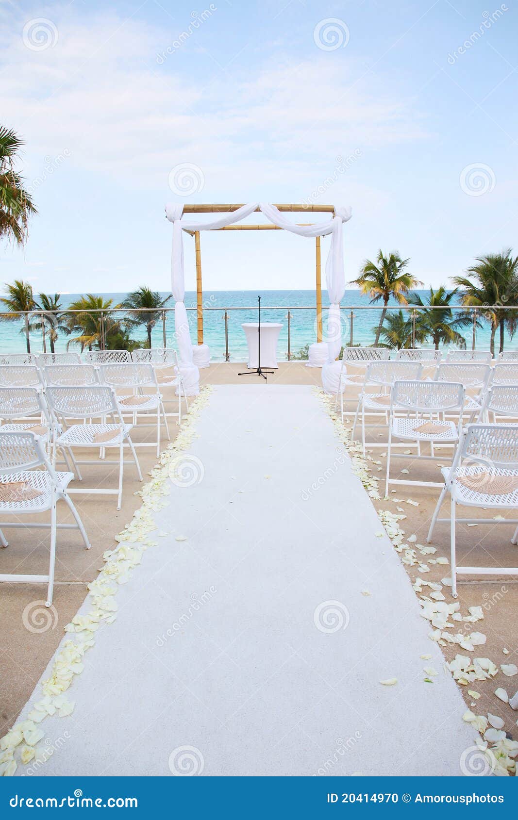beach wedding - overlooking ocean
