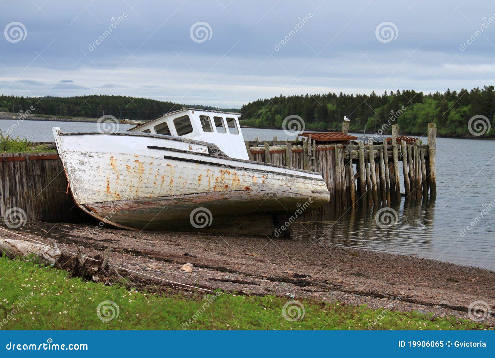 2,640 Fotos de Stock de Fundy - Fotos de Stock Gratuitas e Sem