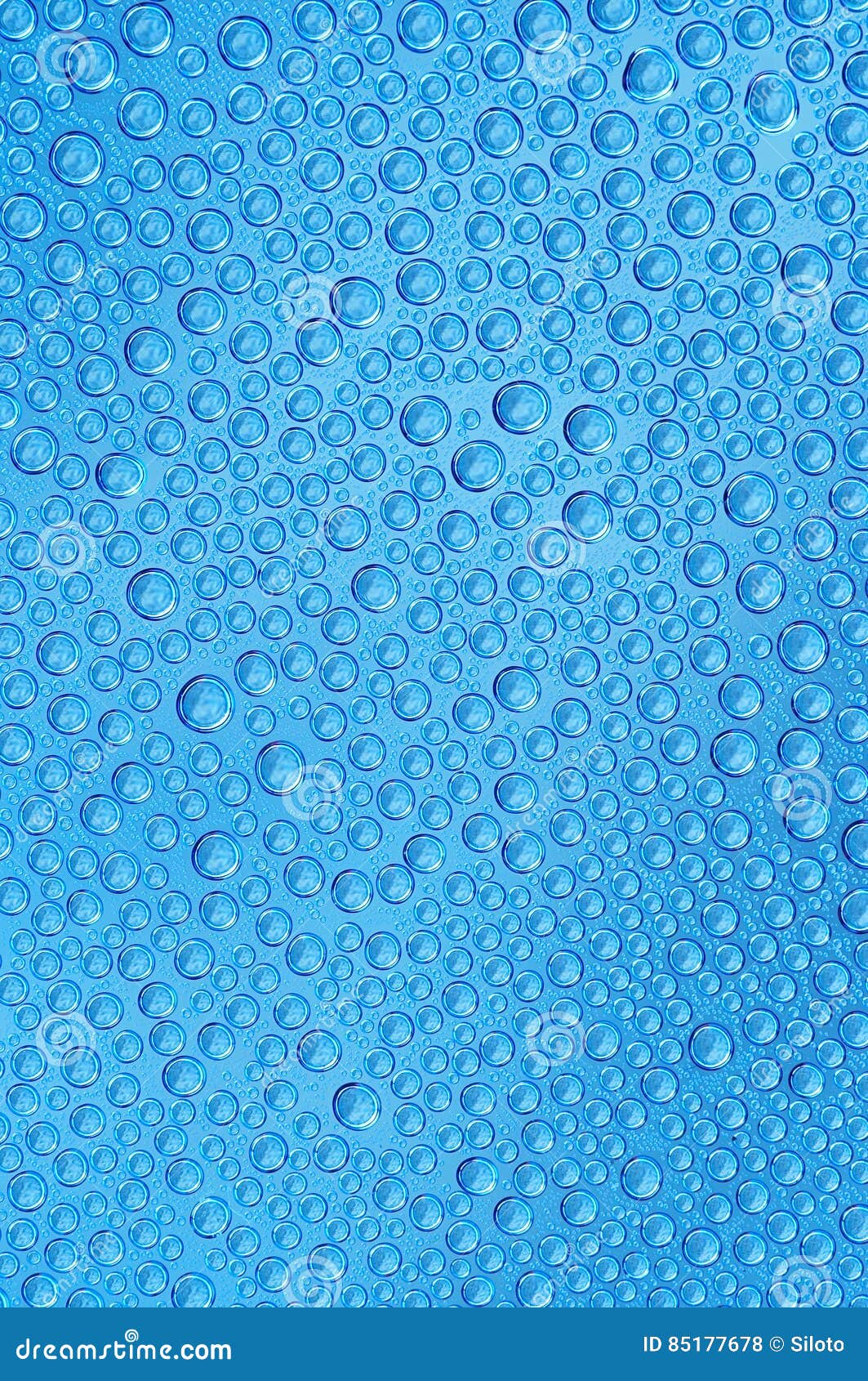 Beads Detail of the Water Drops Stock Photo Image of detail, nature