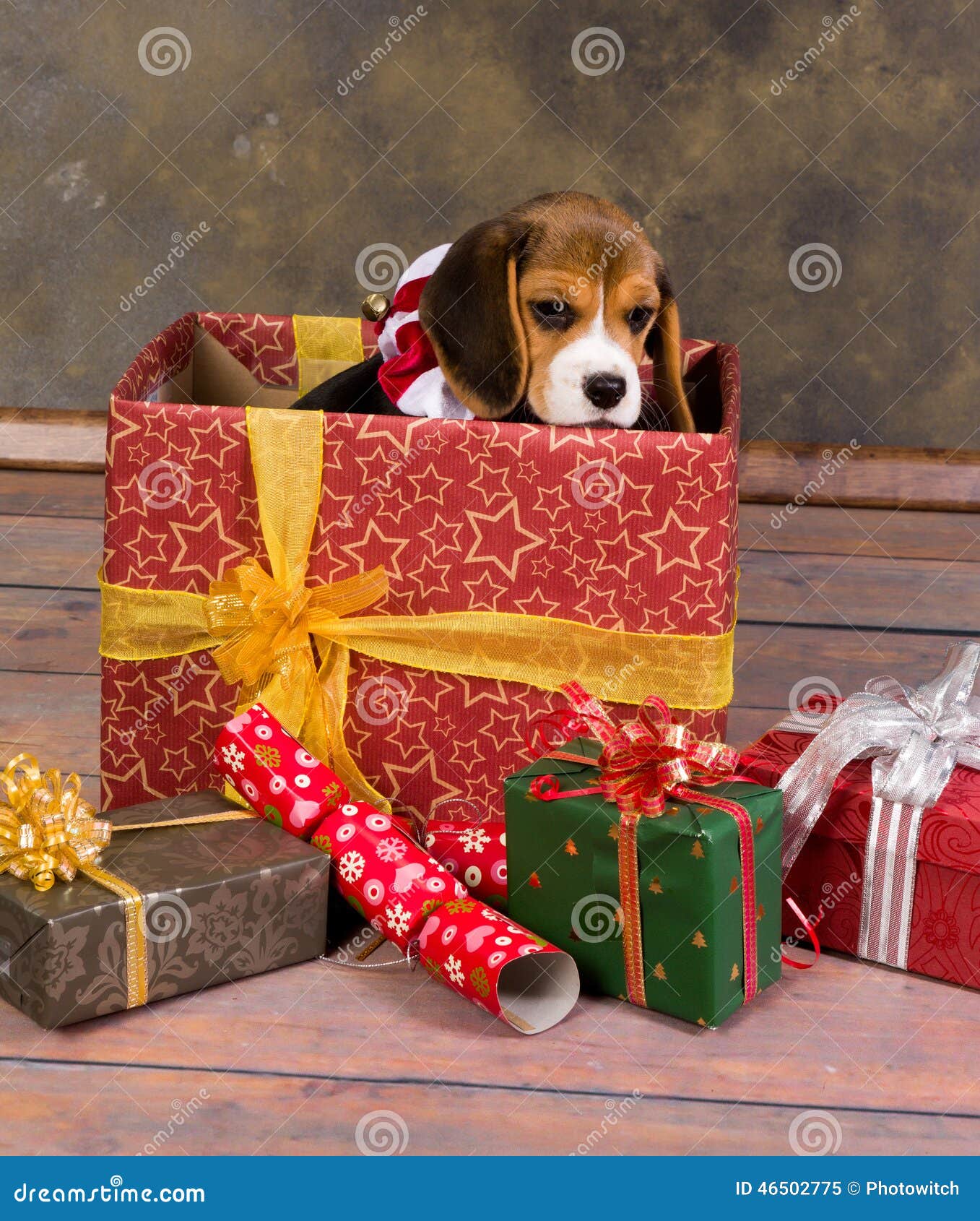 Puppy For Christmas Stock Photo - Download Image Now - Dog, Gift