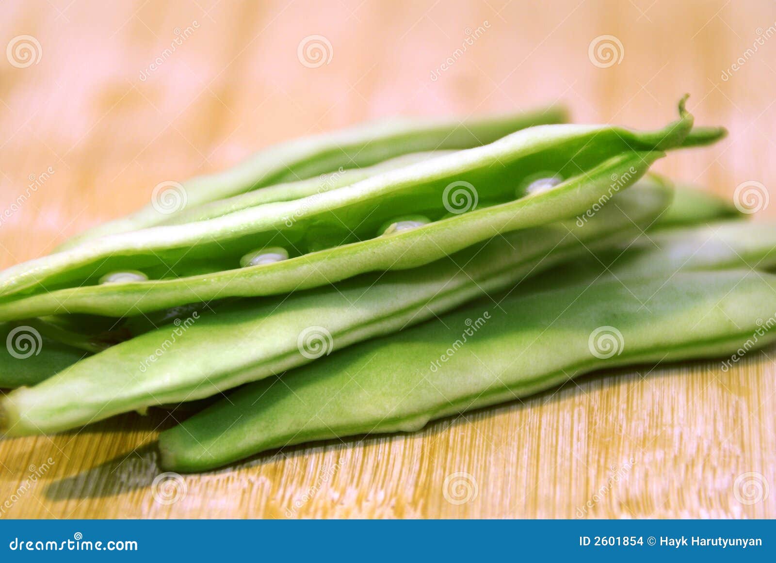 Bean blant stock photo. Image of ingredient, lobio, beans 2601854