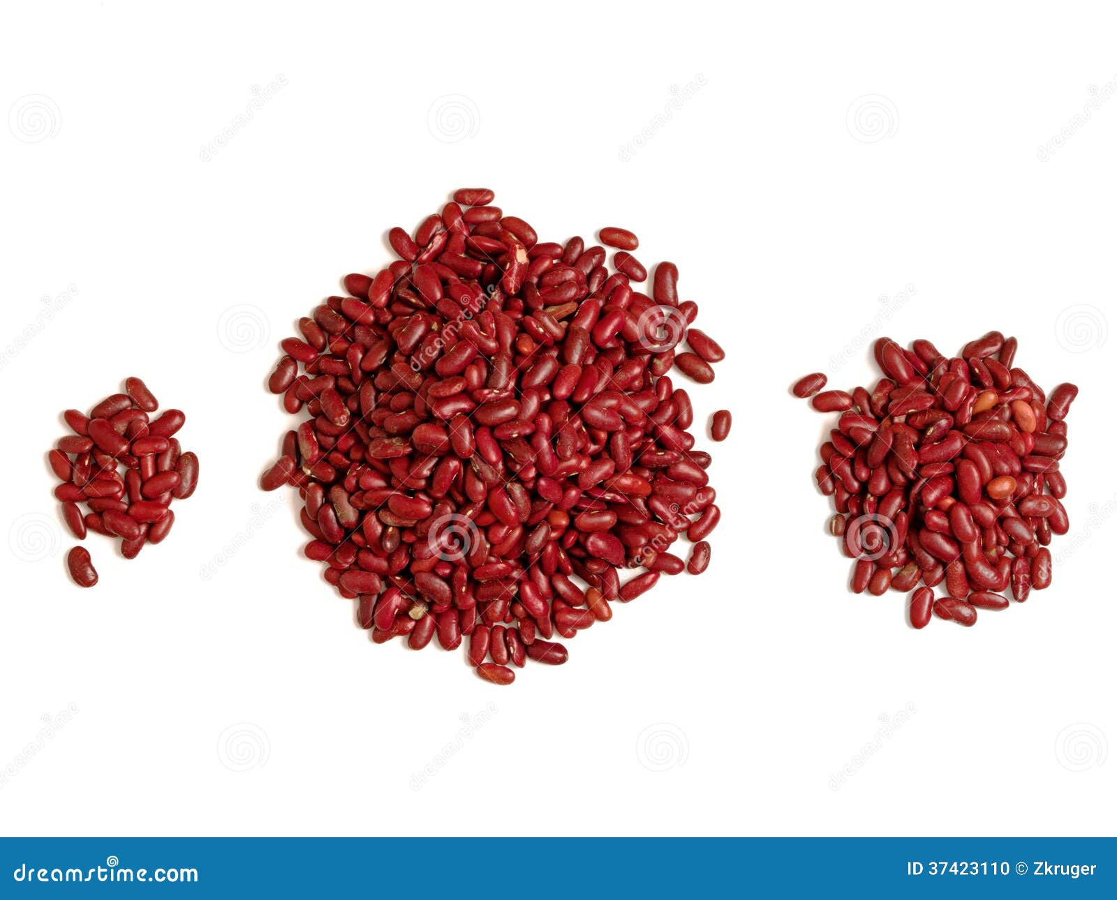 Bean Counter Accounting Banking Concept Stock Photo Image of counters