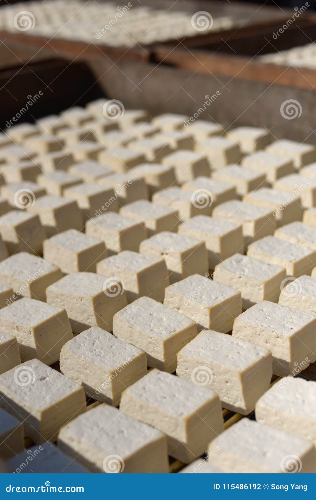 Bean curd stock photo. Image of veggie, staple, basic 115486192