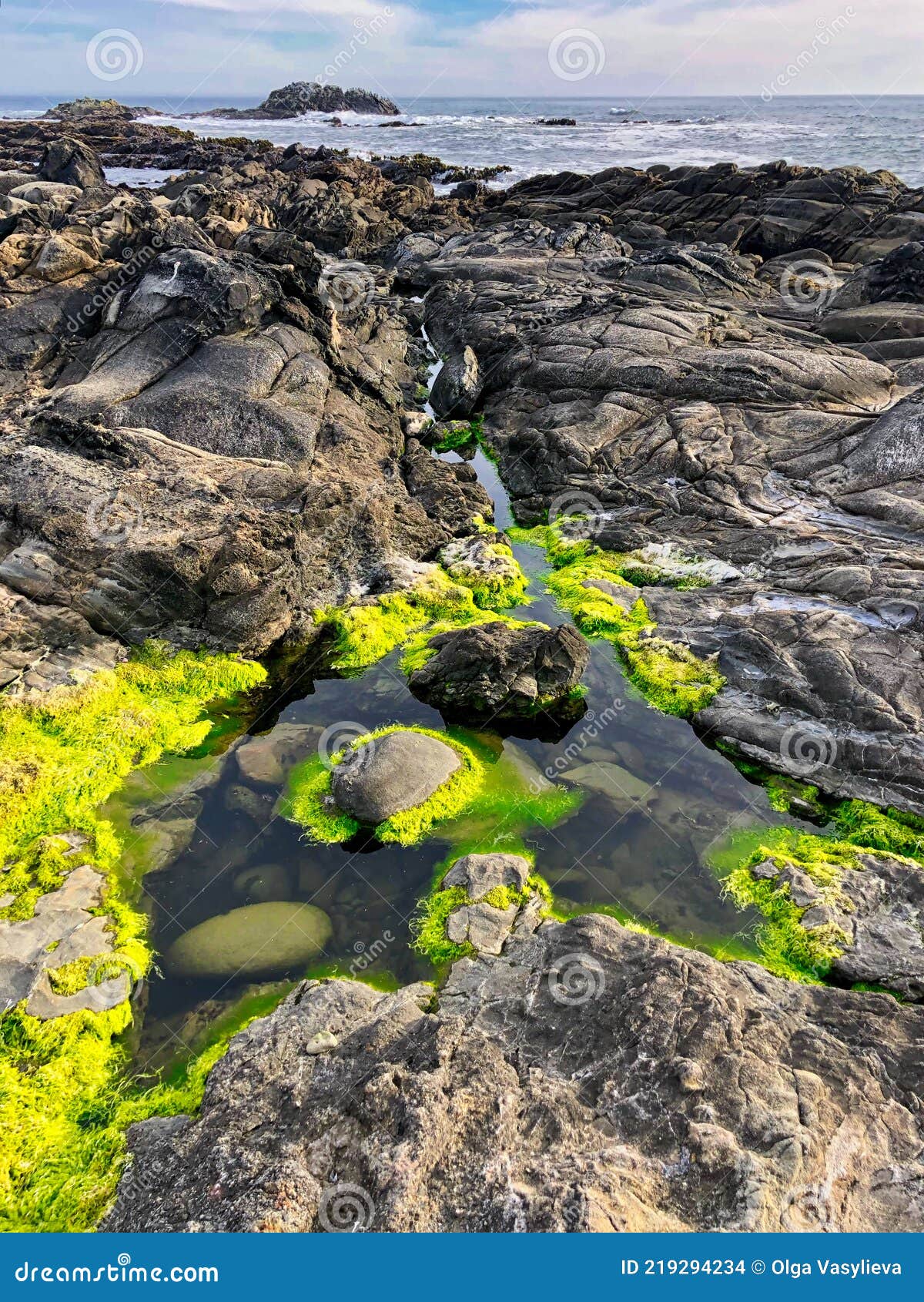 Bean Hollow State Beach, California Stock Photo Image of ocean, gray