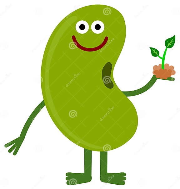 Bean and plant stock illustration. Illustration of organic - 27464692