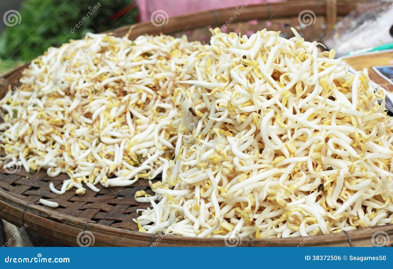 Bean sprouts in the market stock photo. Image of beansprouts 38372506