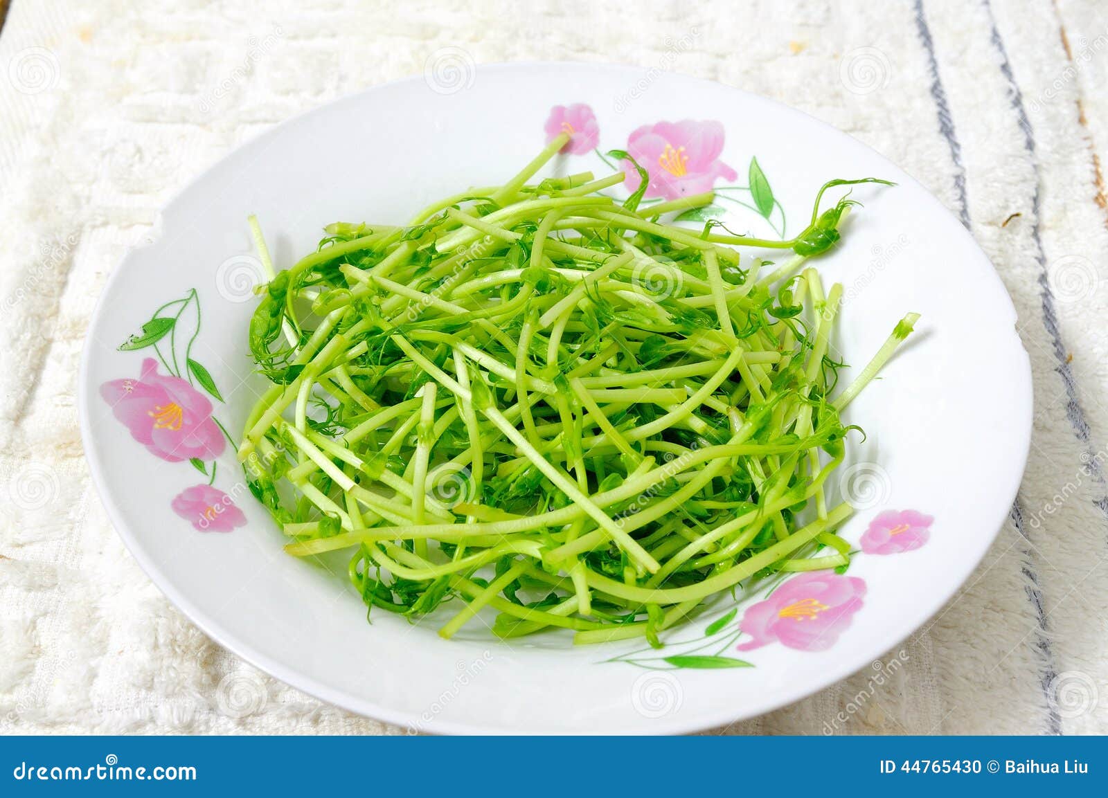 Bean sprouts vegetable stock photo. Image of bean, delicious 44765430