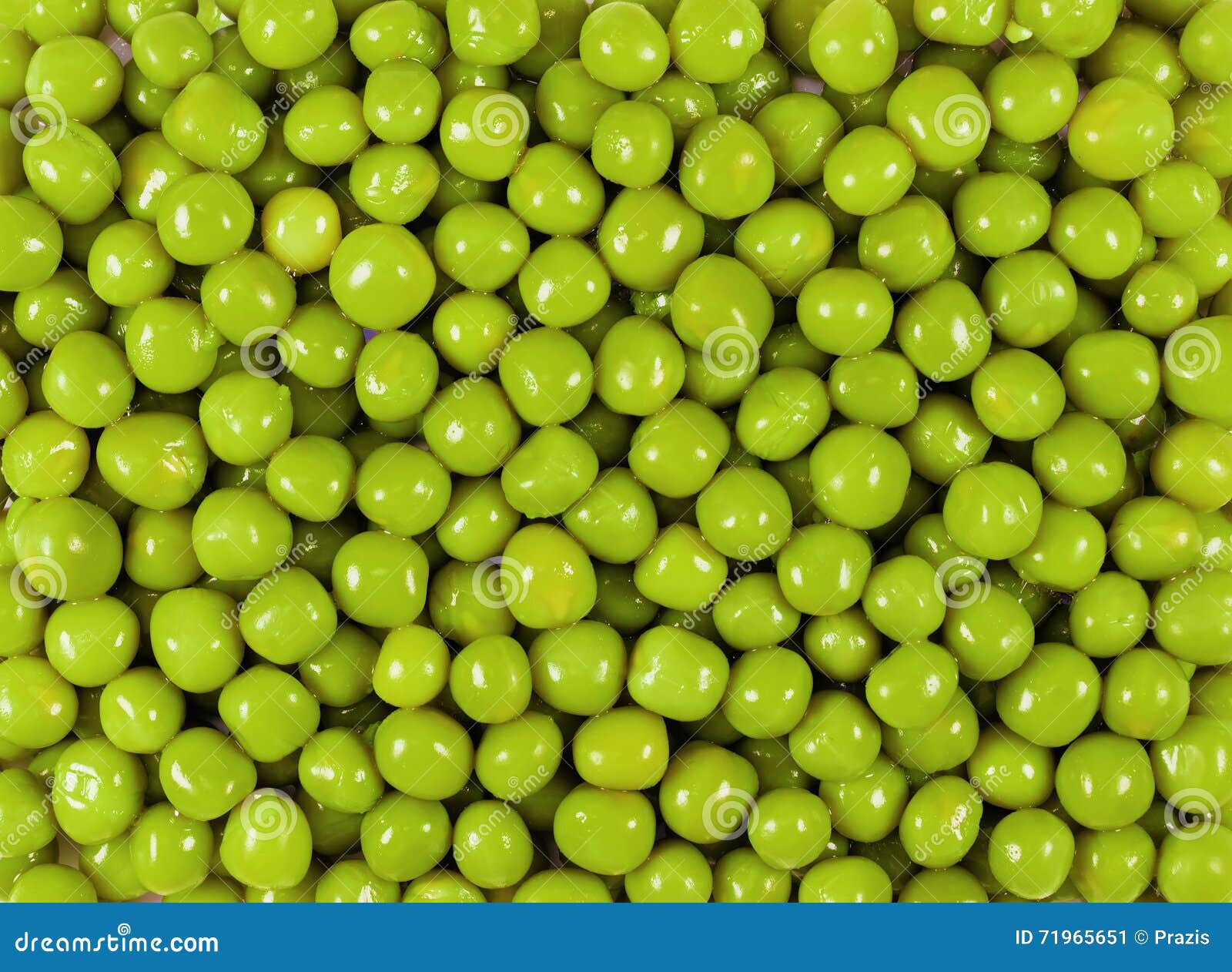 Beans of green peas stock image. Image of nutritious 71965651