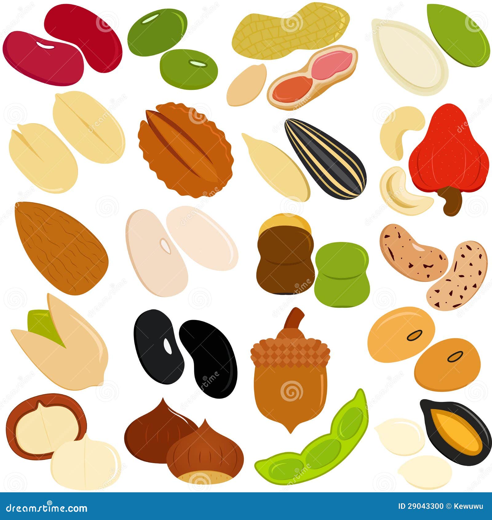 Beans, Nuts, Seeds stock illustration. Illustration of kidney 29043300