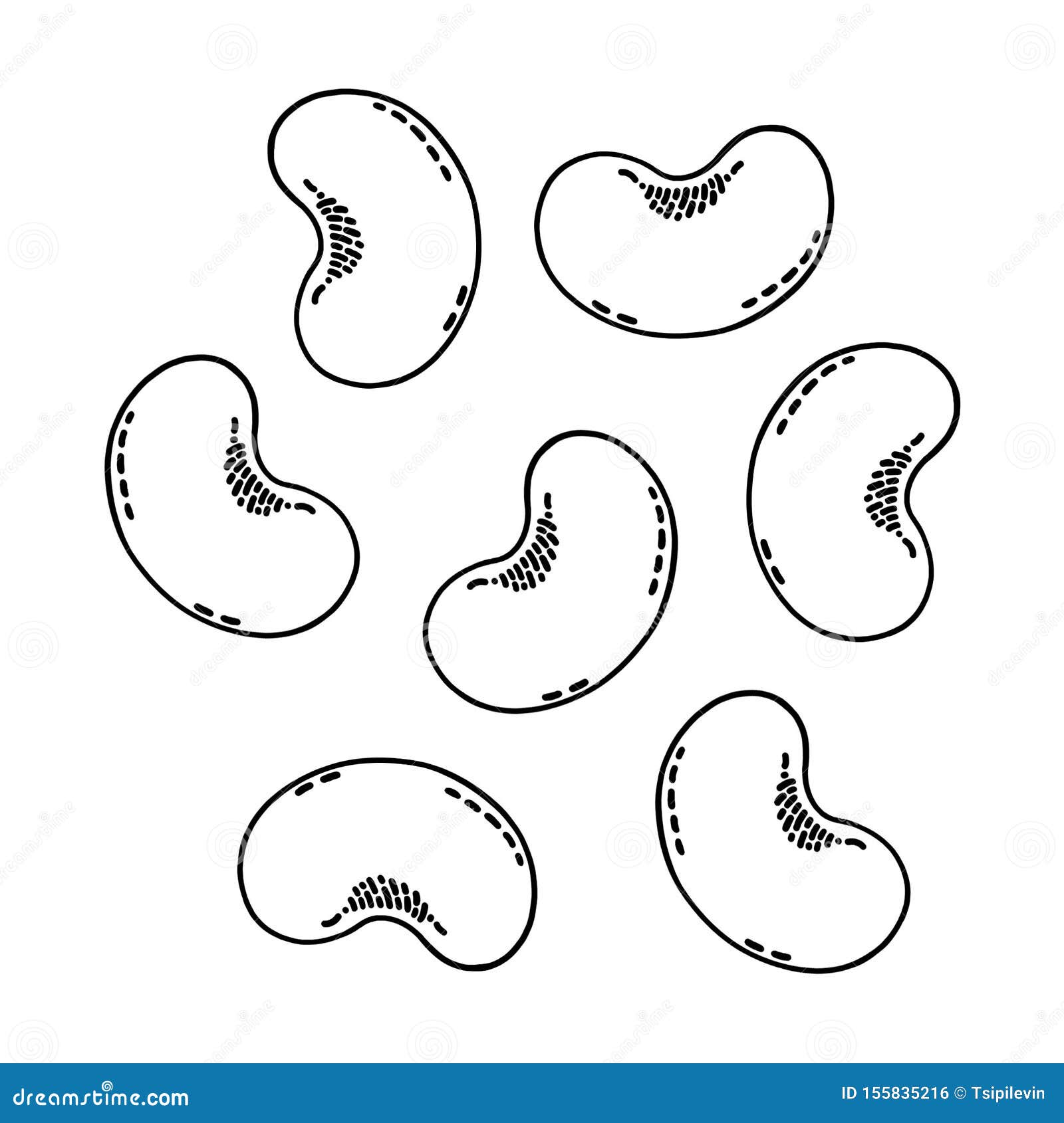 Hand Drawn Sketch Style Beans Set. Fresh Farm Market Product. Collection Of  Vegetarian Food. Vector Iilustrations Isolated On White Background. Royalty  Free SVG, Cliparts, Vectors, and Stock Illustration. Image 119405655.