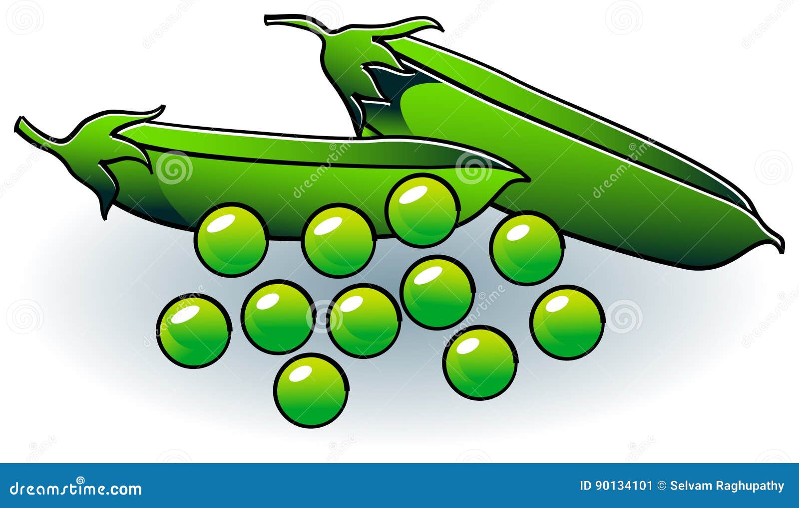 Beans and pods stock vector. Illustration of detail, group 90134101
