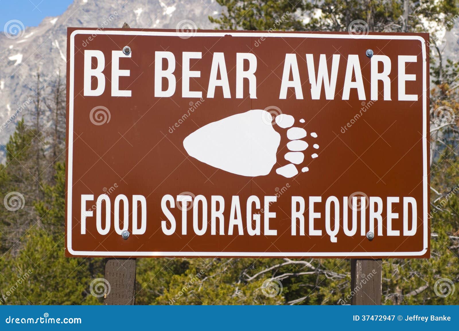 Bear Aware Sign Royalty Free Stock Photography Image 37472947