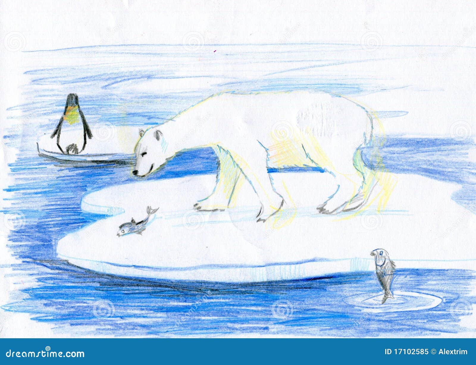 Рисунок от южных морей до полярного края. Рисование животные Арктики. Арктика рисунок. Рисунок на тему Арктика. Рисование белый медведь.