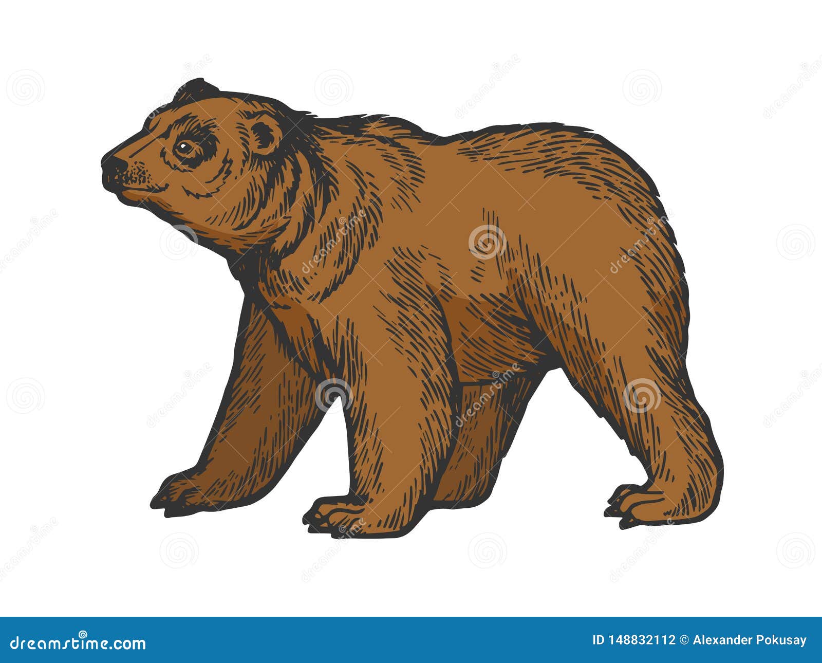 Bear Four Legs Cartoon Stock Illustrations – 18 Bear Four Legs Cartoon  Stock Illustrations, Vectors & Clipart - Dreamstime