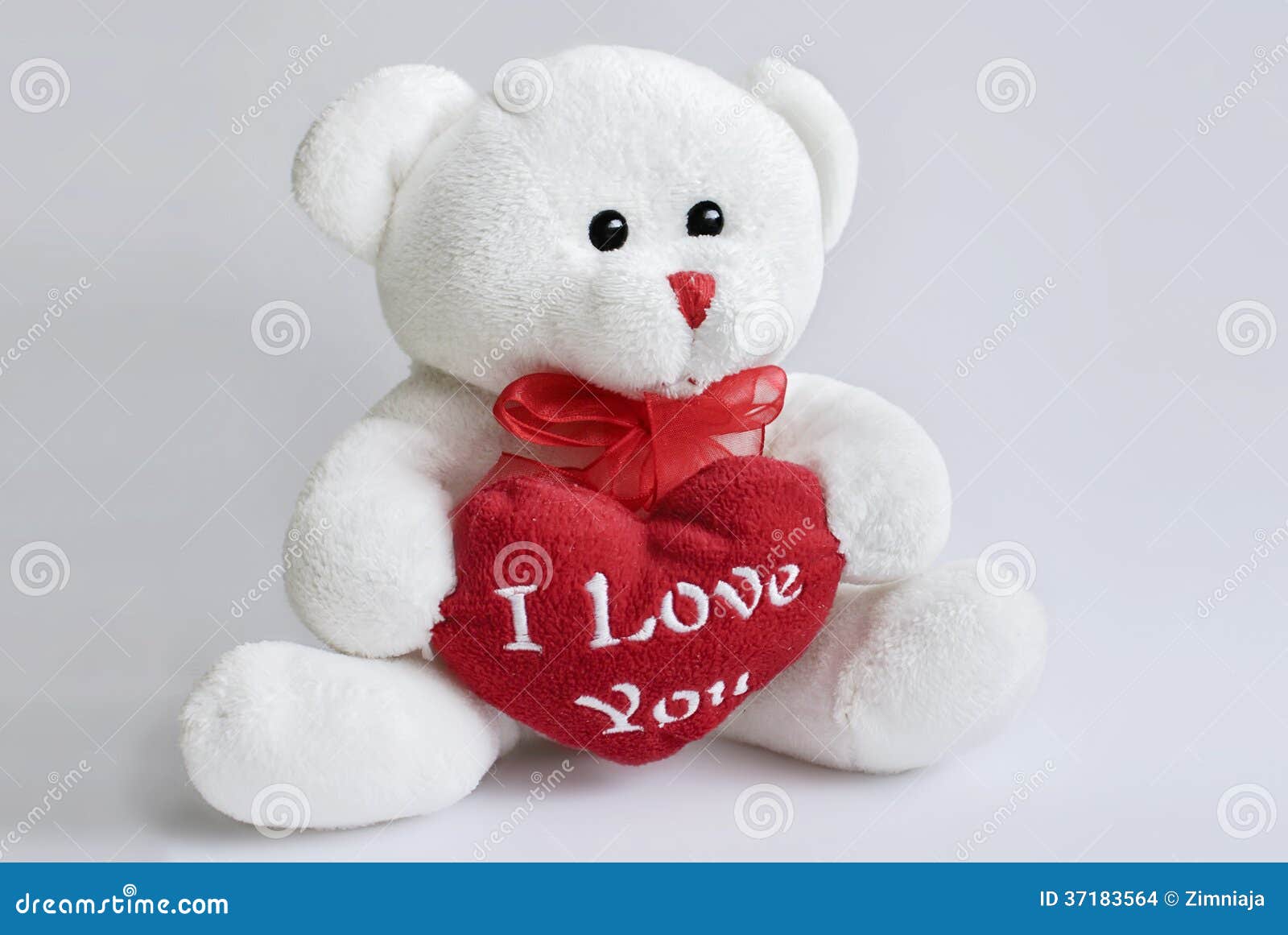 Bear with heart 4 stock photo. Image of valentines, animals 37183564