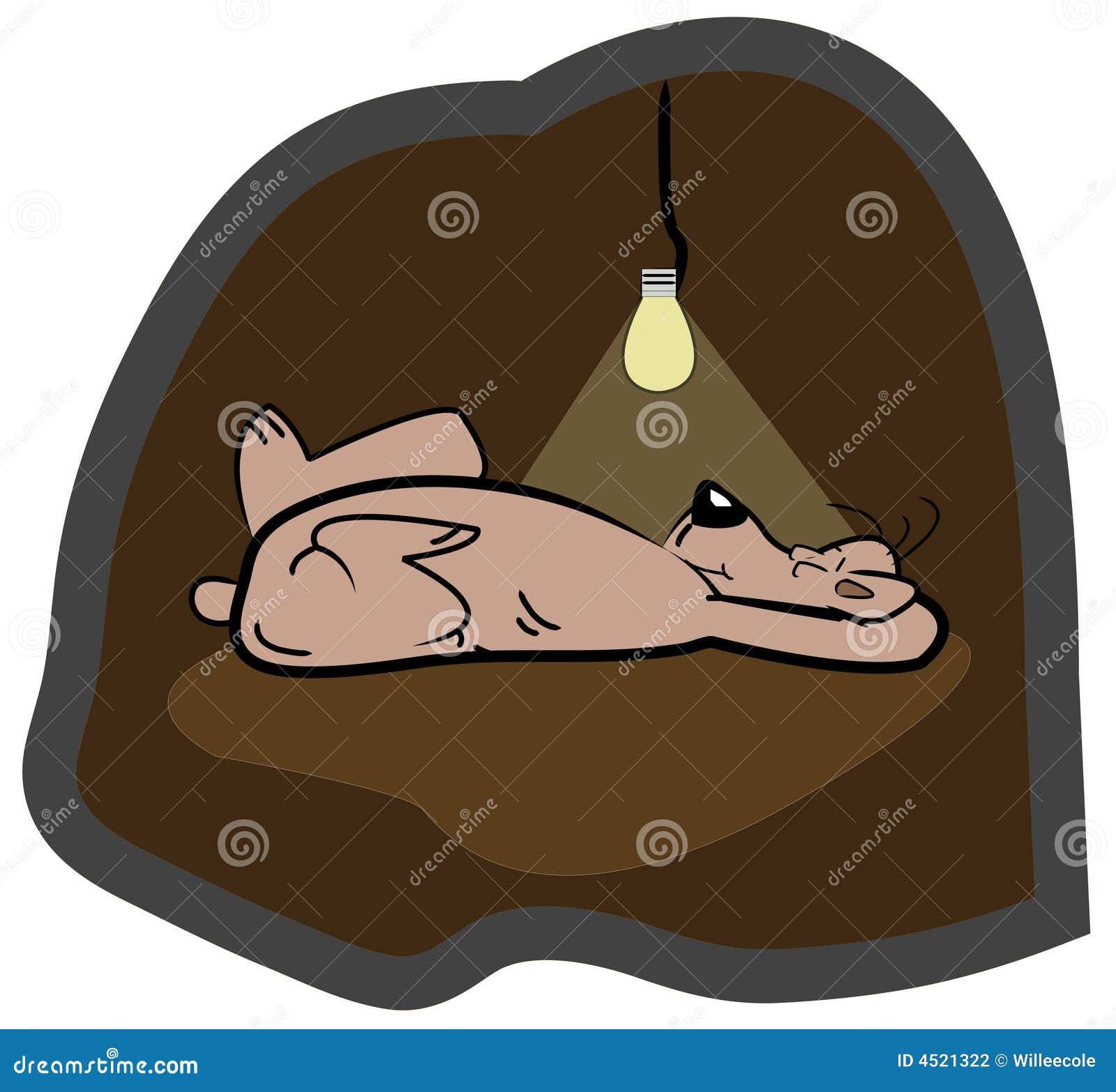 clipart of animals that hibernate - photo #4