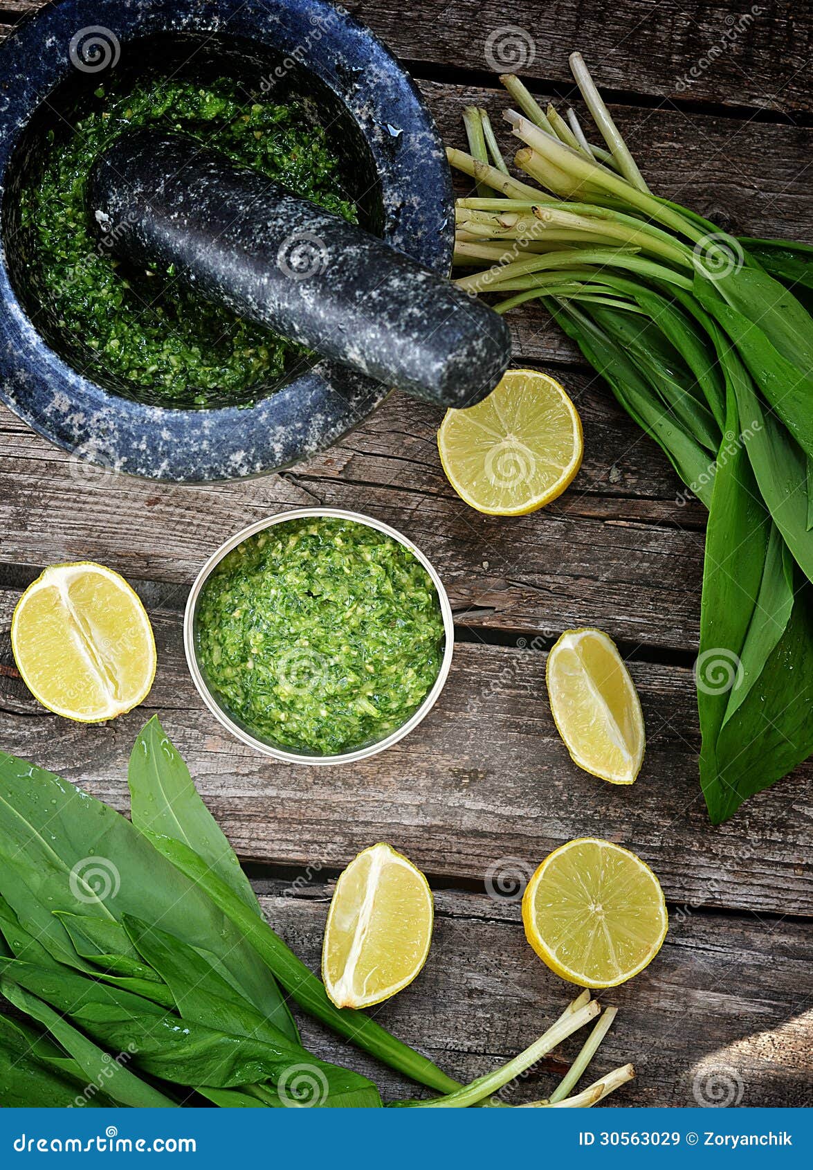 Bear s onion pesto. stock image. Image of forest, healthy 30563029