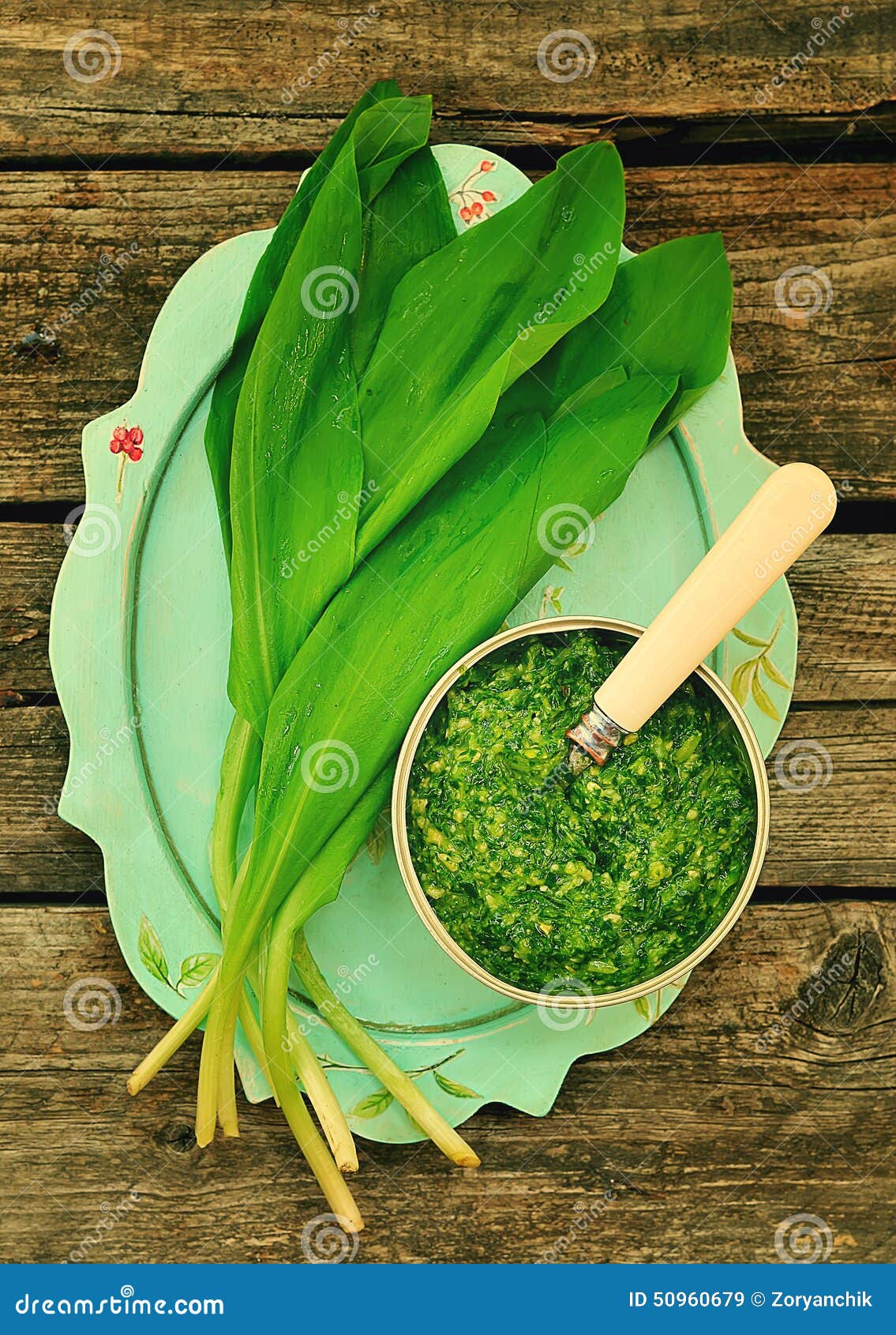 Bear s onion pesto. stock image. Image of forest, bear 50960679