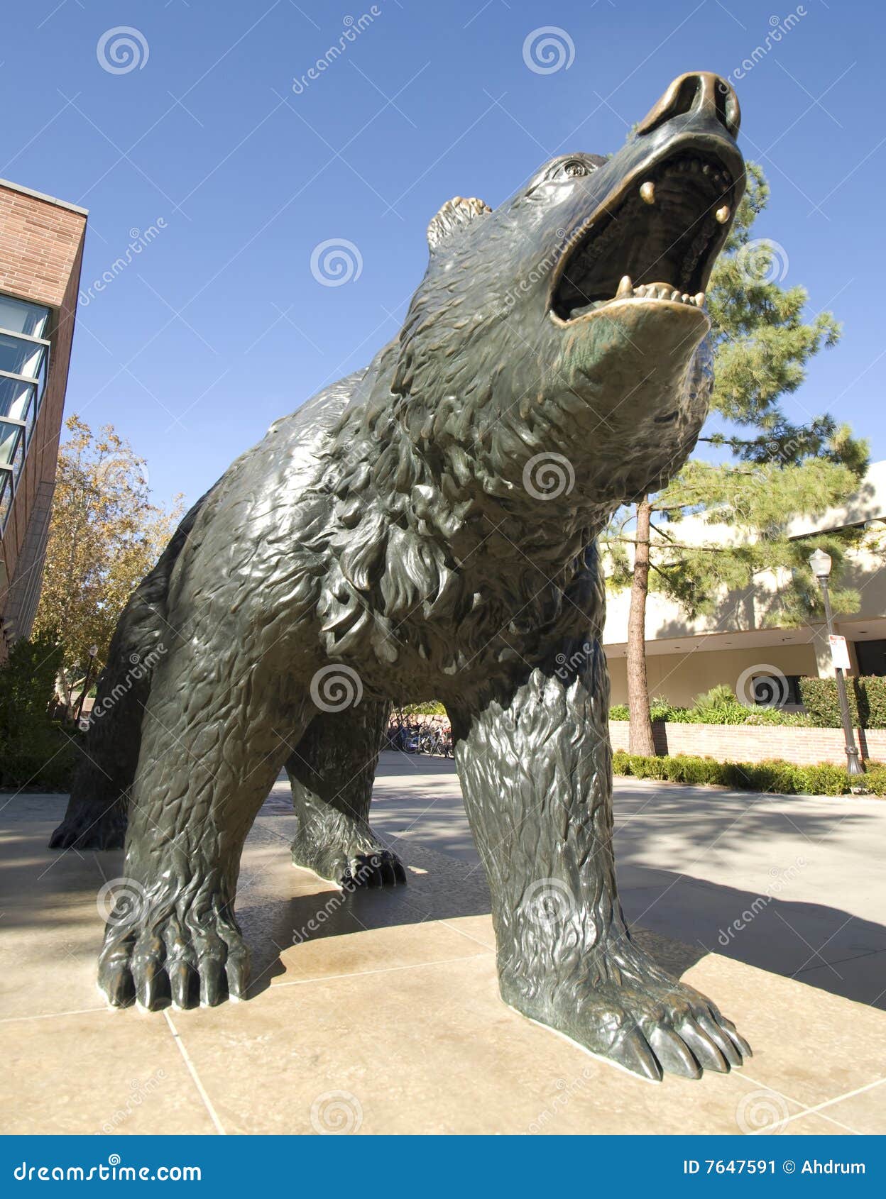 Bear Statue stock image. Image of bruin, figure, carved 7647591