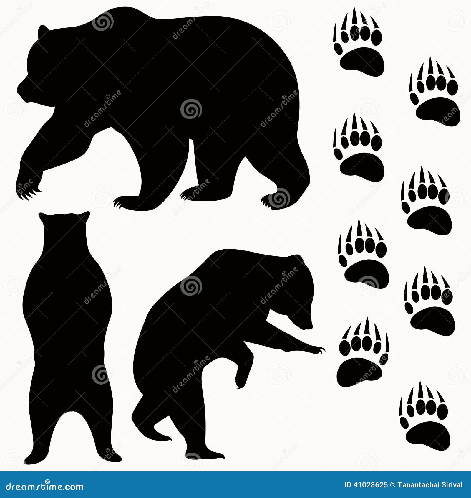 Bear vector stock vector. Illustration of strong, black - 41028625