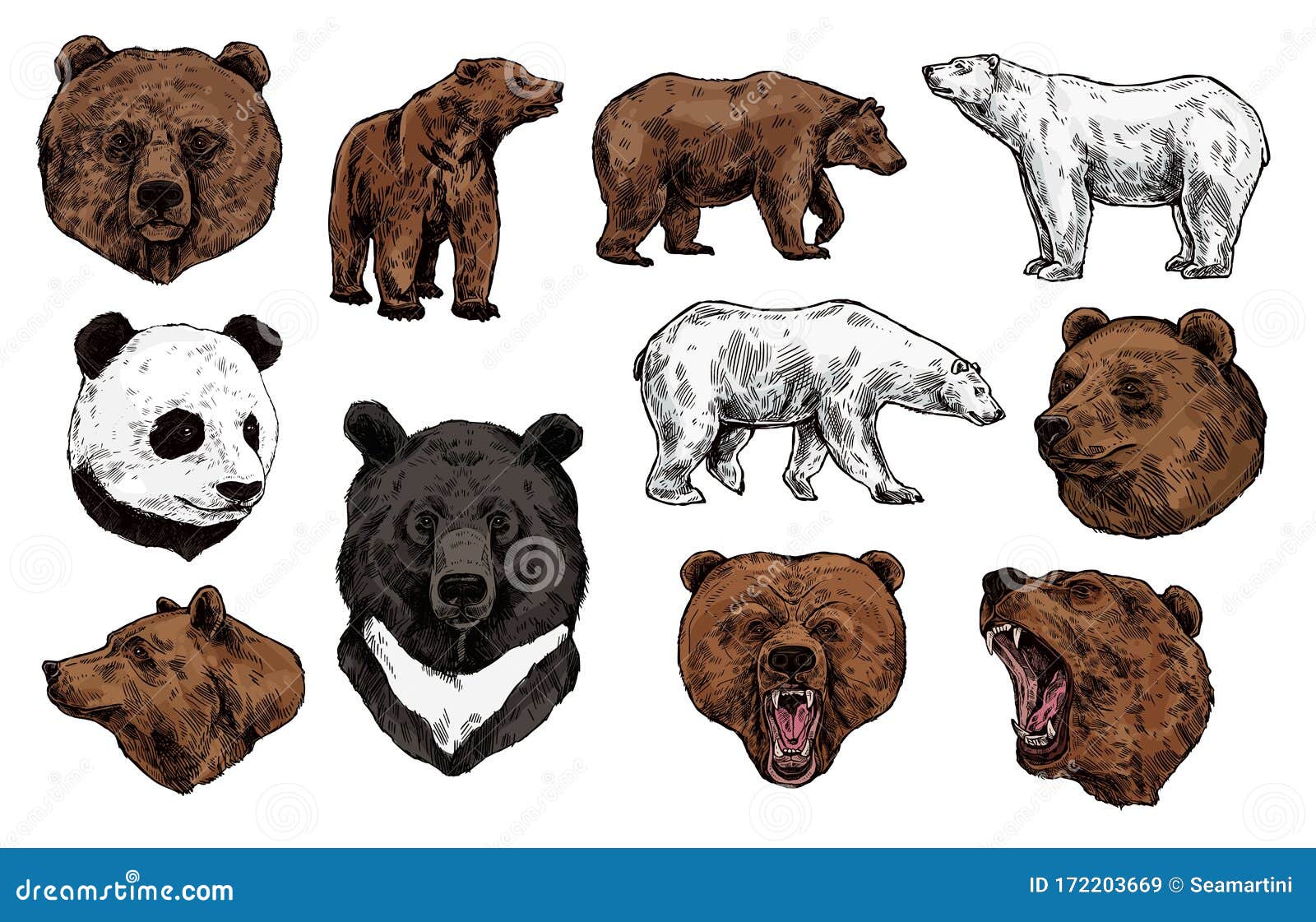teddy bear with sharp teeth