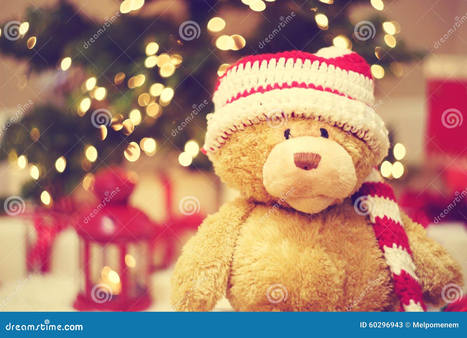 Bear Wearing Santa Hat with Christmas Gift Boxes Stock Image Image of