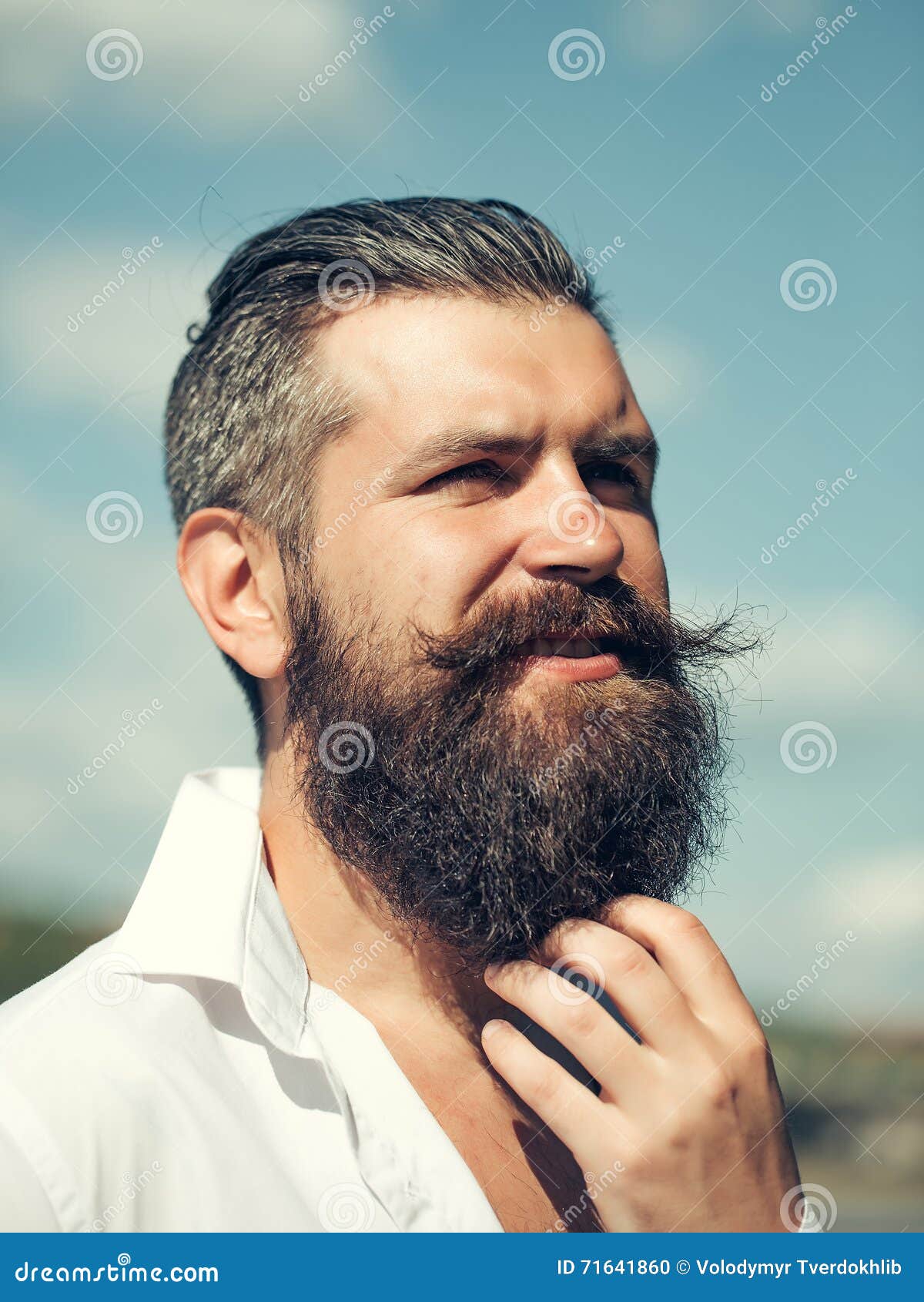 Bearded man on blue sky stock photo. Image of blue, male - 71641860