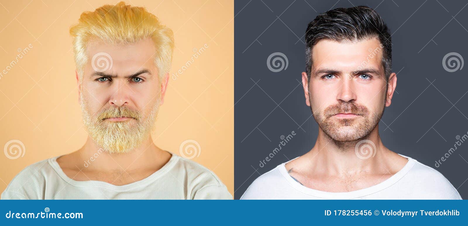 Bearded Man Set. Hair and Beard Hair Coloring. White Hair Color. Barber Shop Design Stock Photo - Image of closeup, bearded: 178255456 Bearded Man Set. Hair and Beard Hair Coloring. White Hair Color. Barber Shop Design Stock Photo - Image of closeup, bearded: 178255456