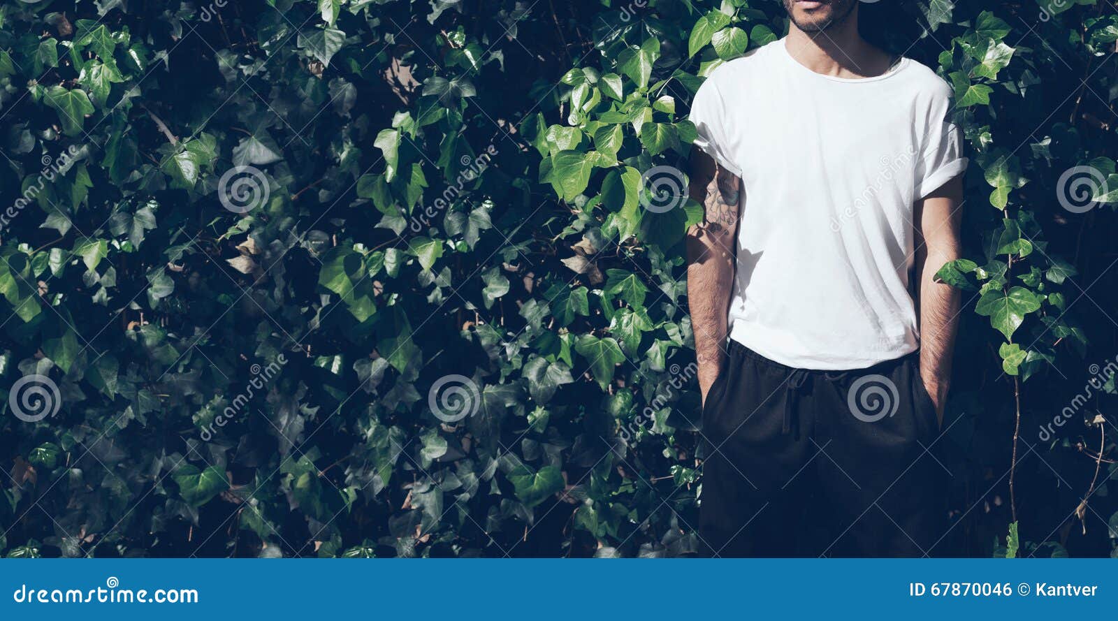 bearded man with tattoo wearing blank white tshirt and black sunglasses.green garden wall background. wide closeup