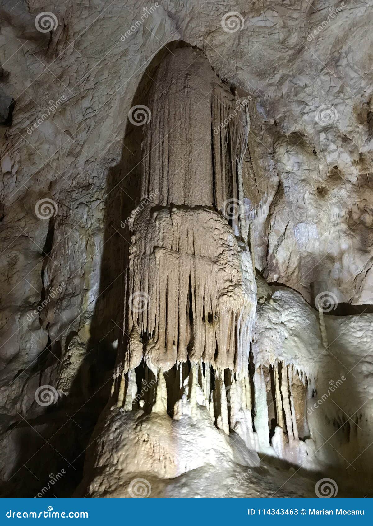 bears cave in apuseni mountains