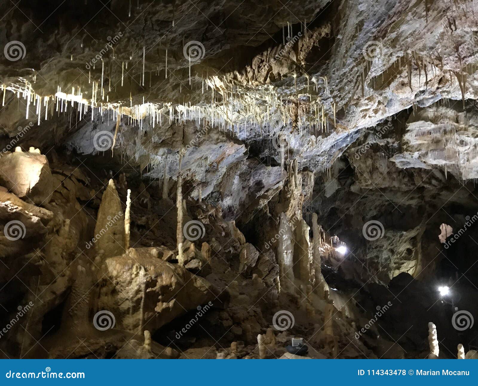 bears cave in apuseni mountains