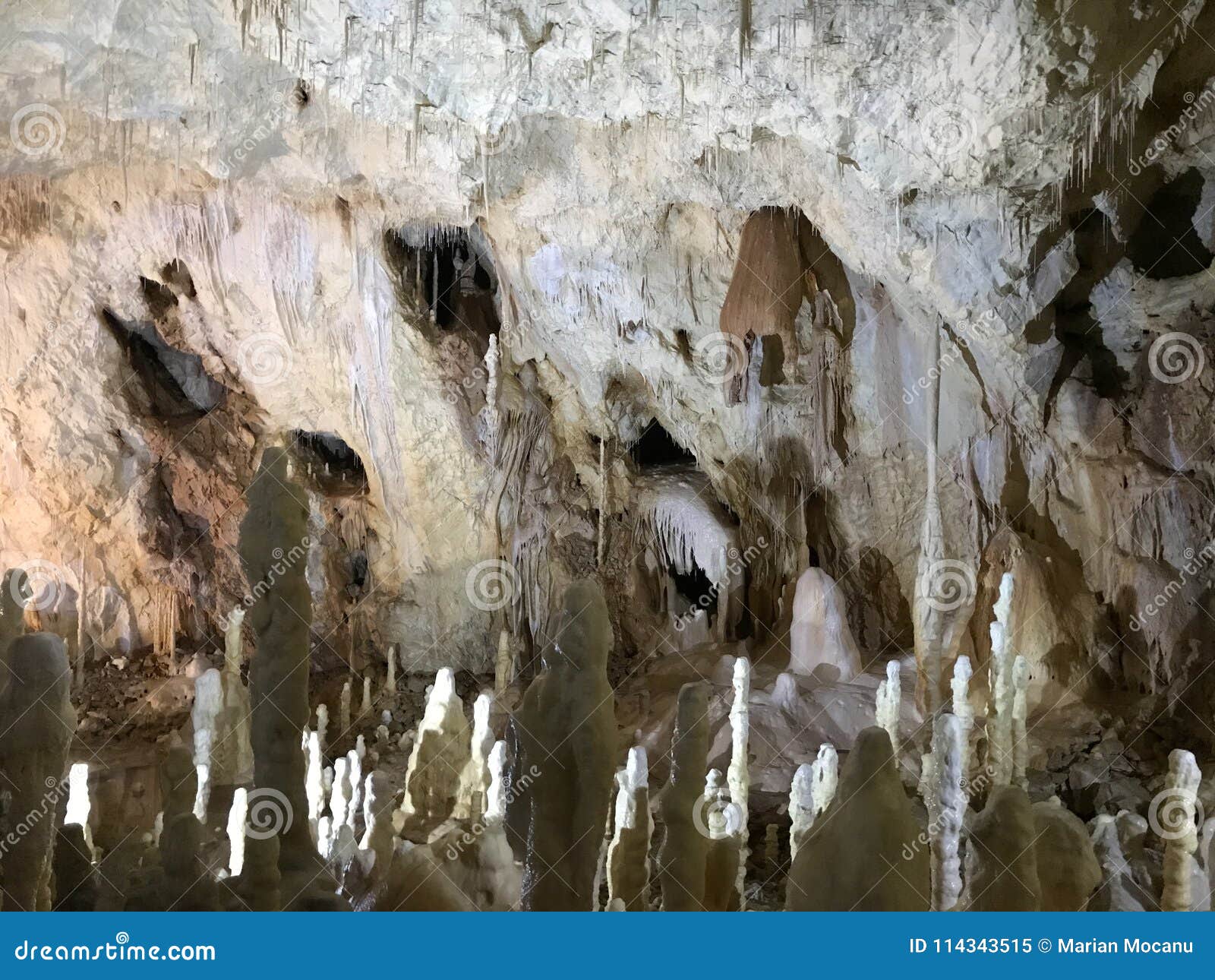 bears cave in apuseni mountains