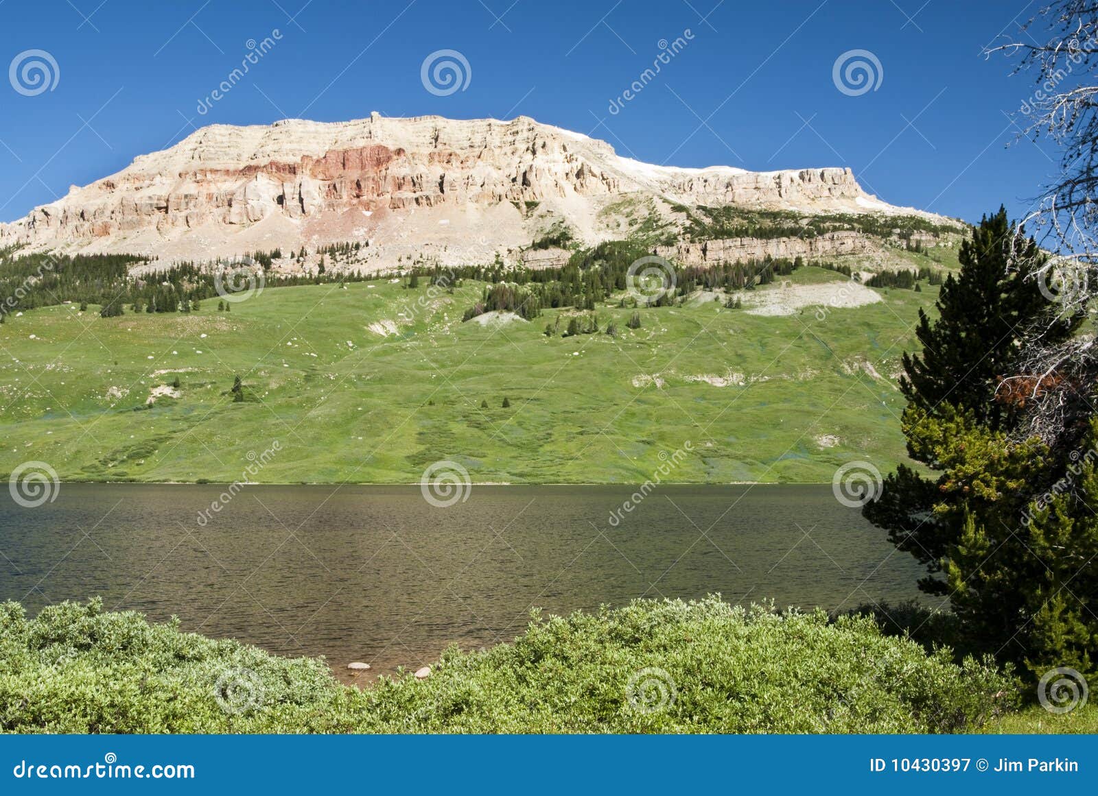 beartooth butte