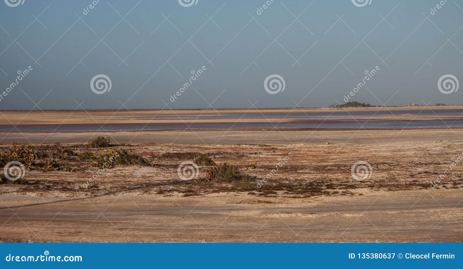 beatiful and natural desert and rose salt in coche island in venezuela