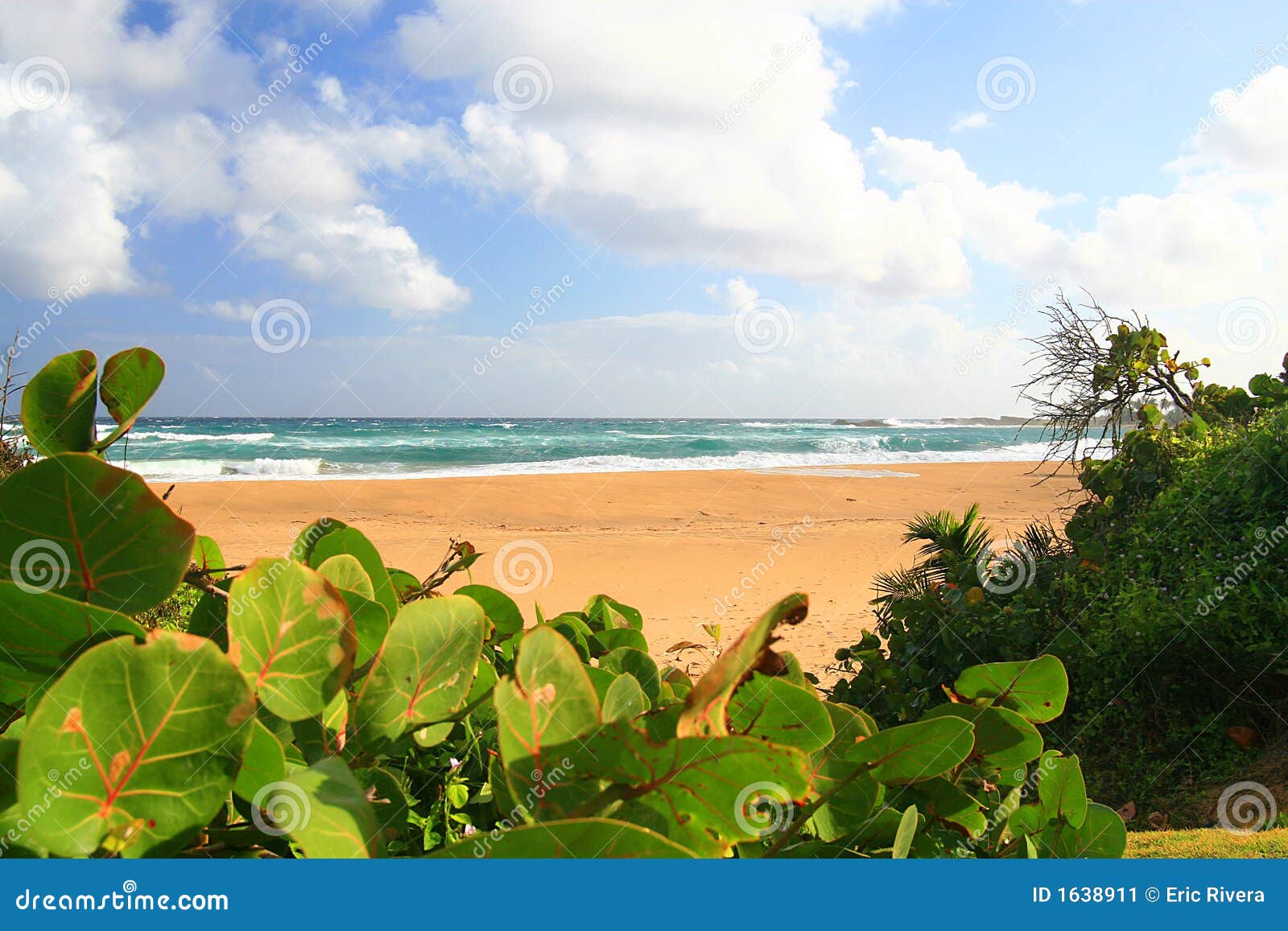 beatiful secluded beach in isabela, puerto rico