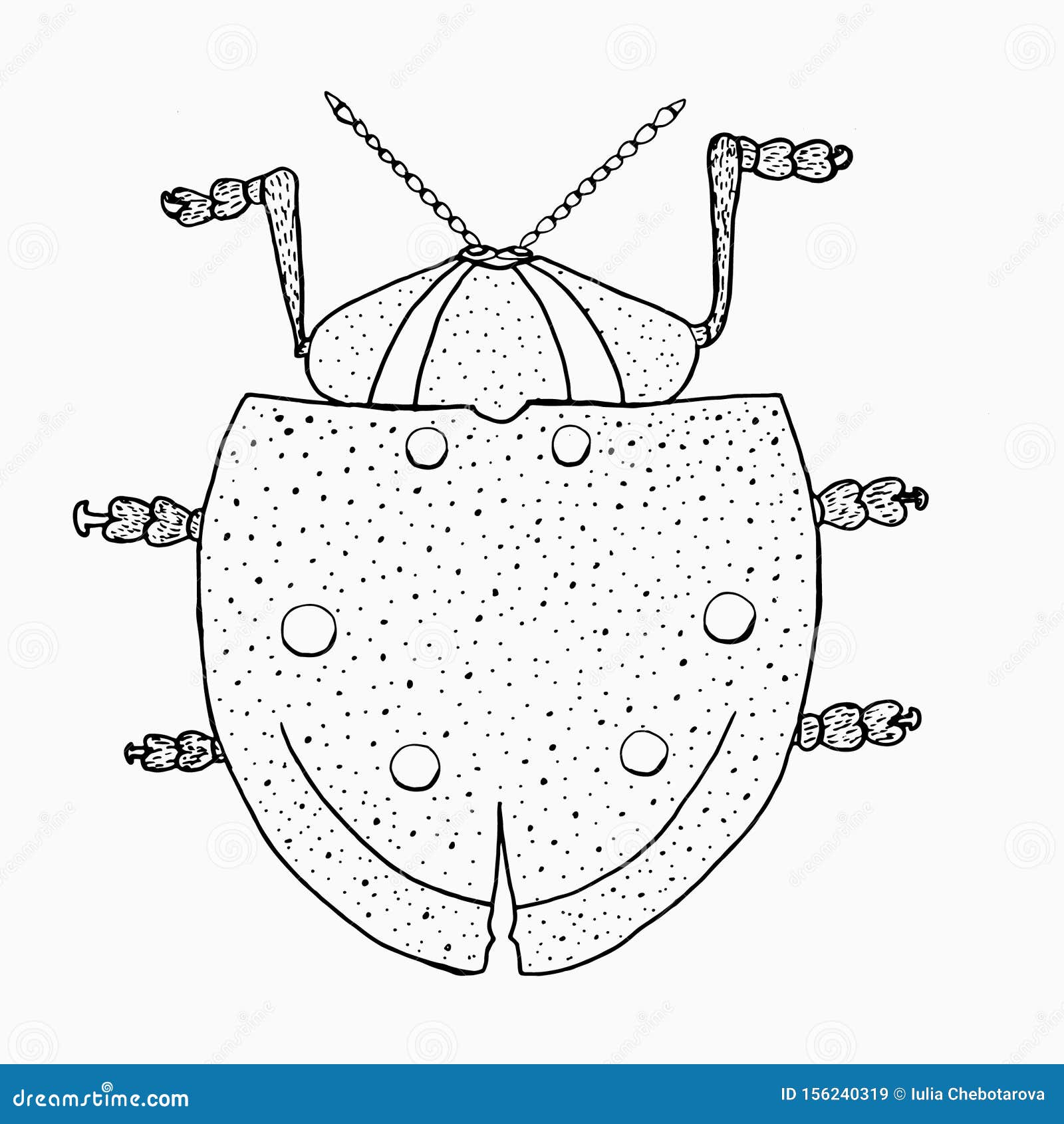 Beatle for Coloring. Graphics. Ink. Stock Illustration - Illustration ...