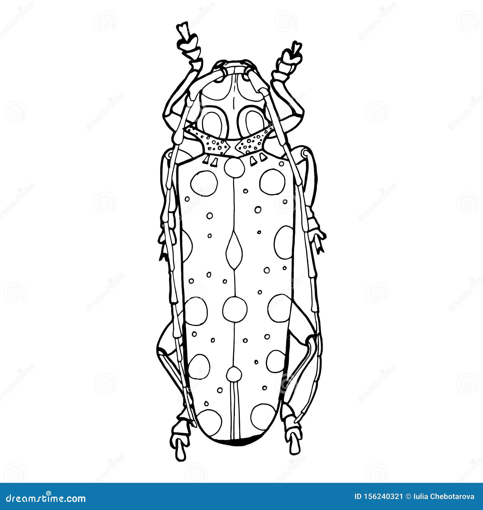 Beatle for Coloring. Graphics Stock Illustration - Illustration of ...