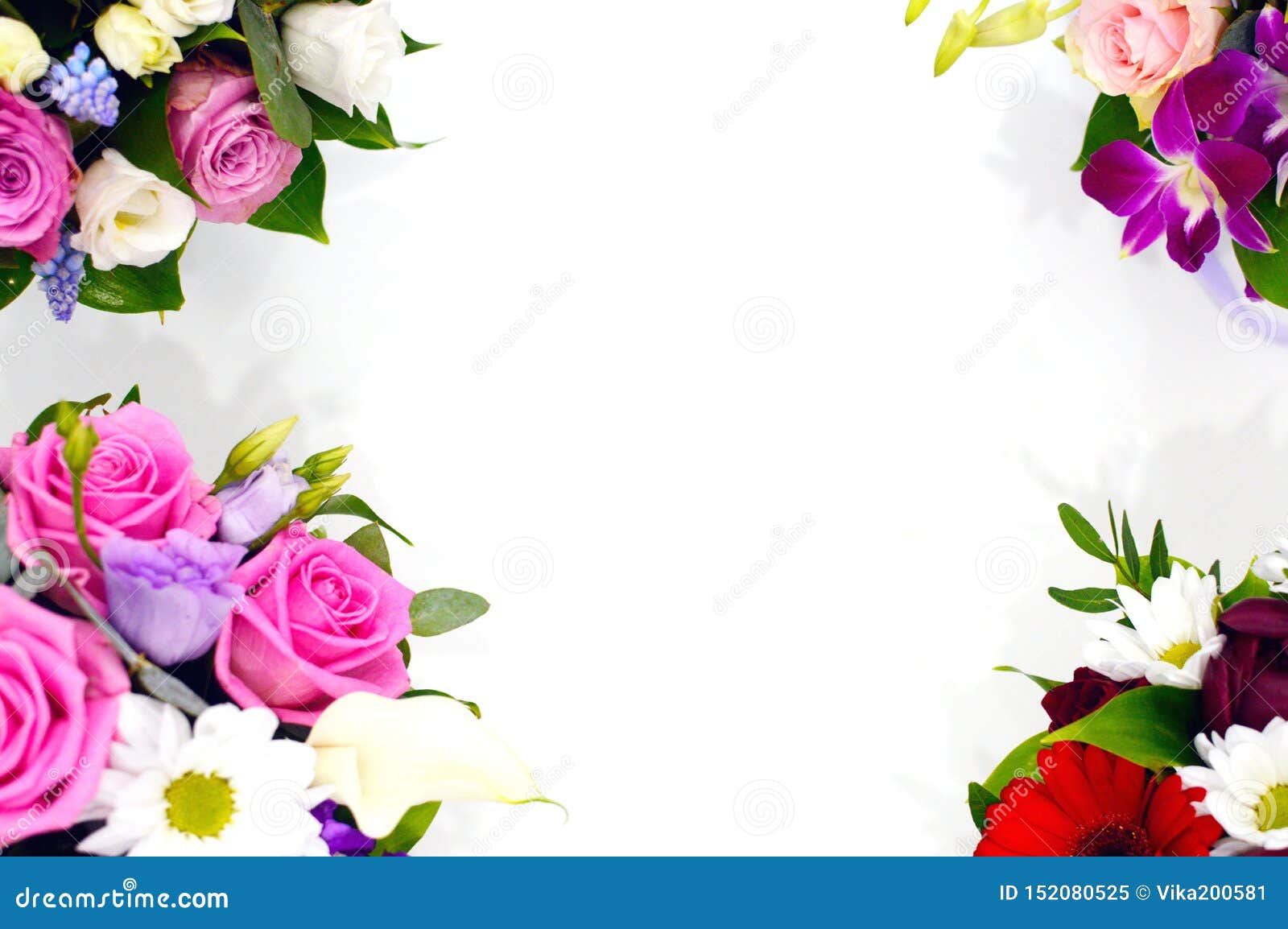 Beau Bouquet Des Fleurs Colorées Sur Une Fin Blanche De Fond Image stock -  Image du noir, fête: 152080525
