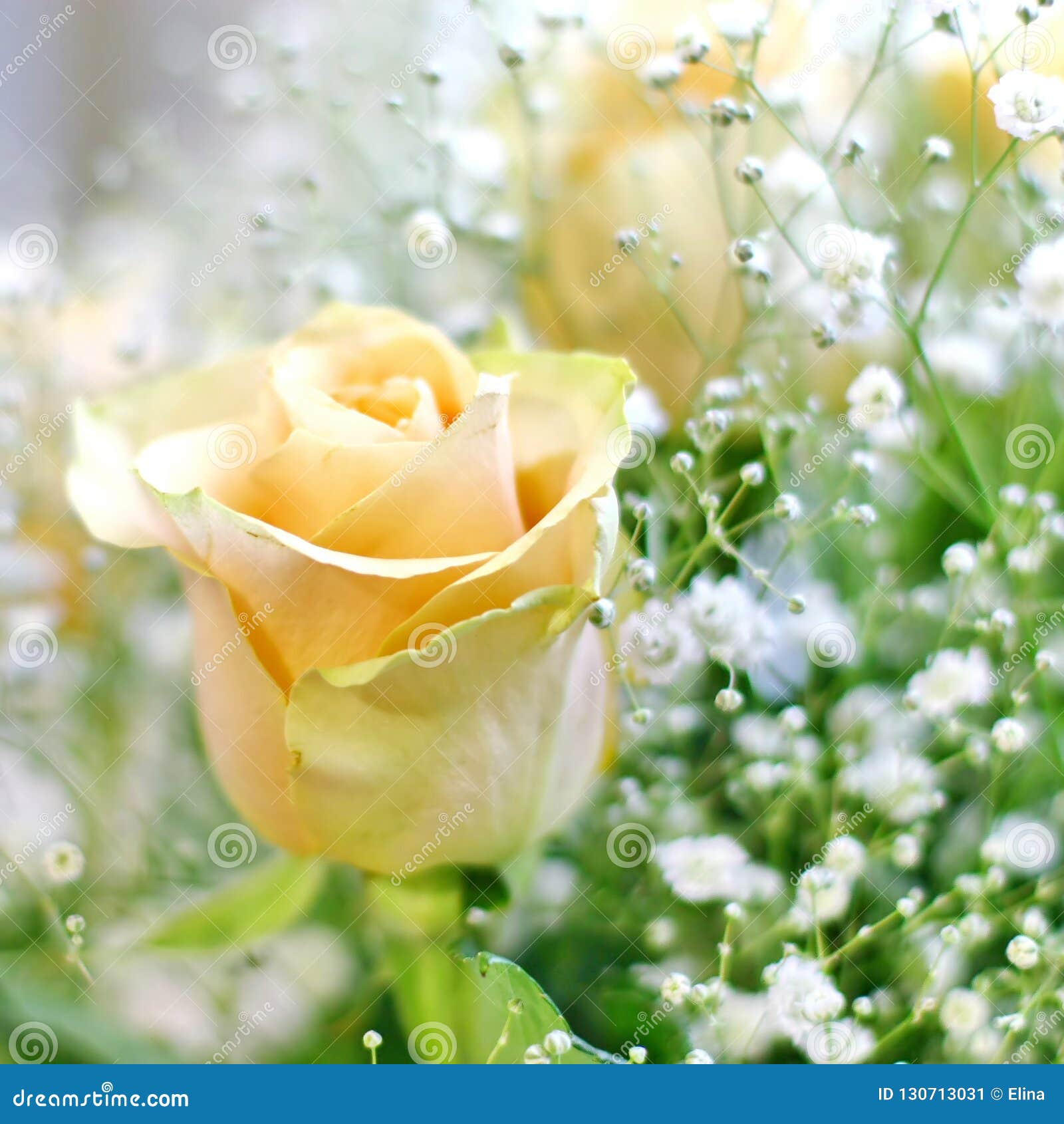 Beau Bouquet Des Roses Jaunes Et Des Petites Fleurs Blanches Avec Le Fond  De Tache Floue Image stock - Image du fond, parfum: 130713031