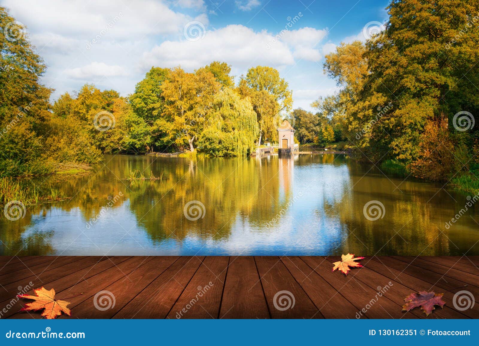 Tableau Lac au matin