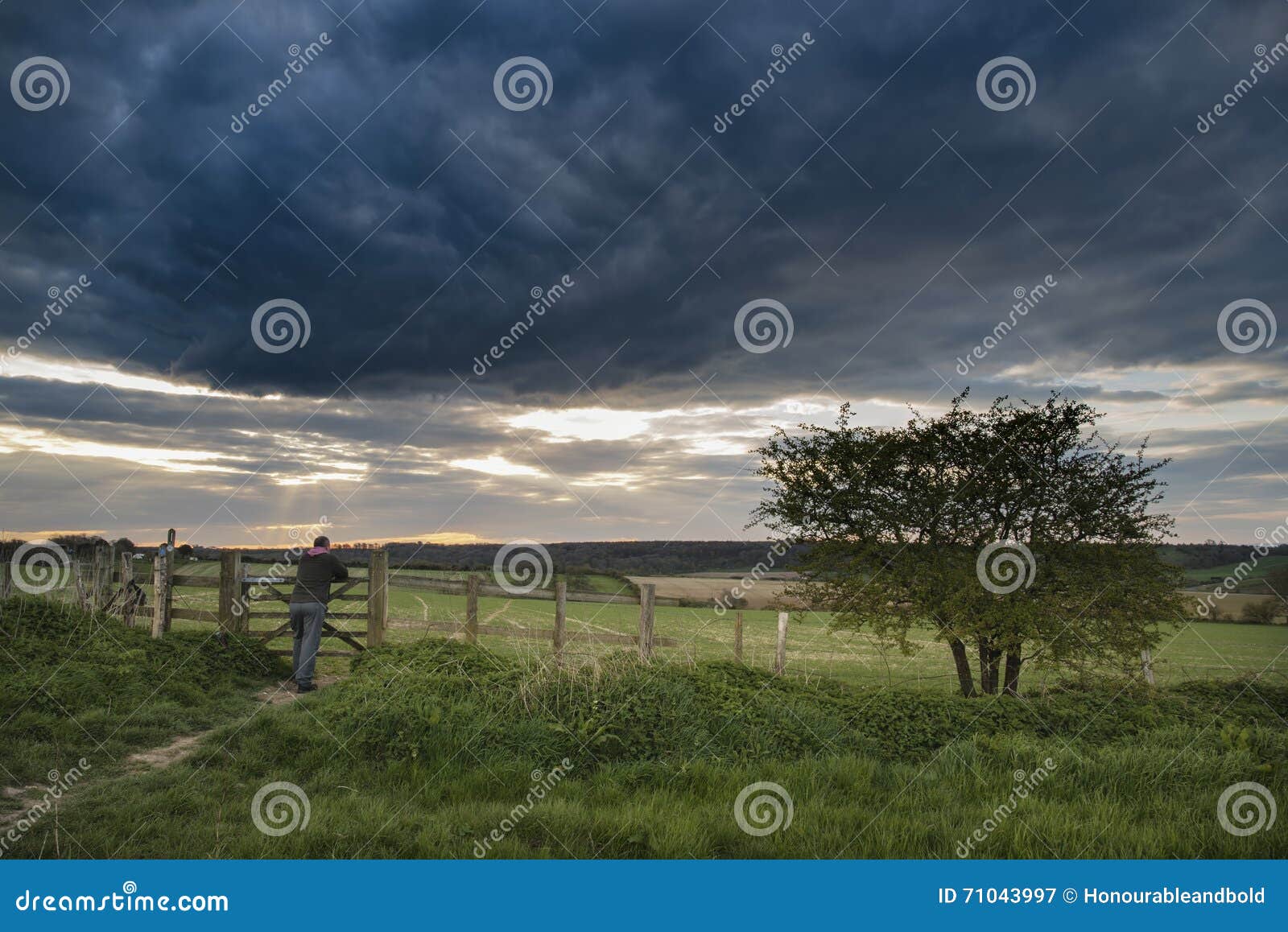 Beau Paysage Anglais De Campagne Au Dessus Des Champs Au