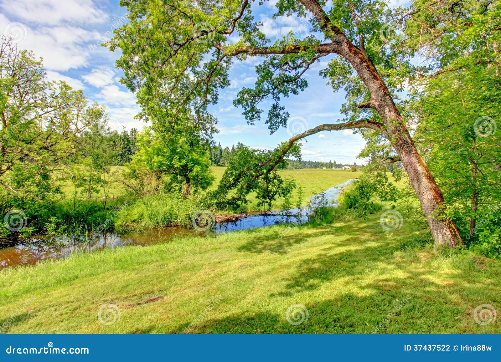 Beau Paysage De Campagne D Ete Photo Stock Image Du Amerique Fleuve