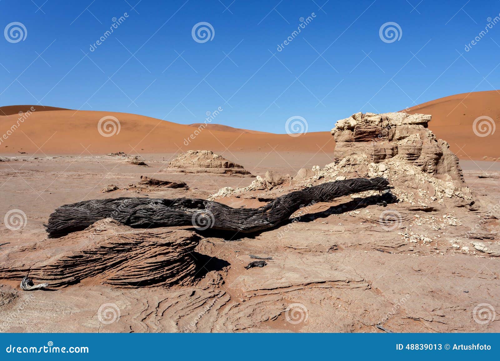 Beau paysage de Sossusvlei de Death Valley, Namibie. Beau paysage de lever de soleil de Sossusvlei de Death Valley caché dans le désert namibien avec le ciel bleu, le meilleur endroit en Namibie