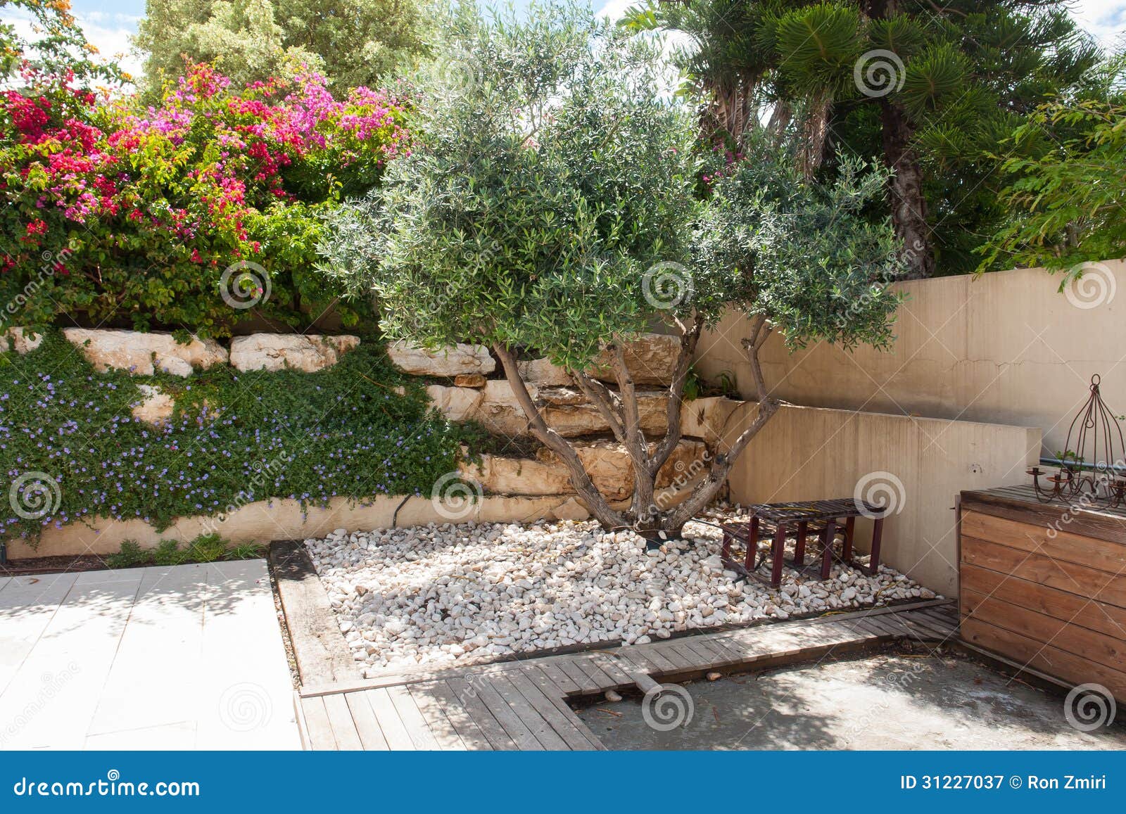 beauatiful classical mediterranean garden